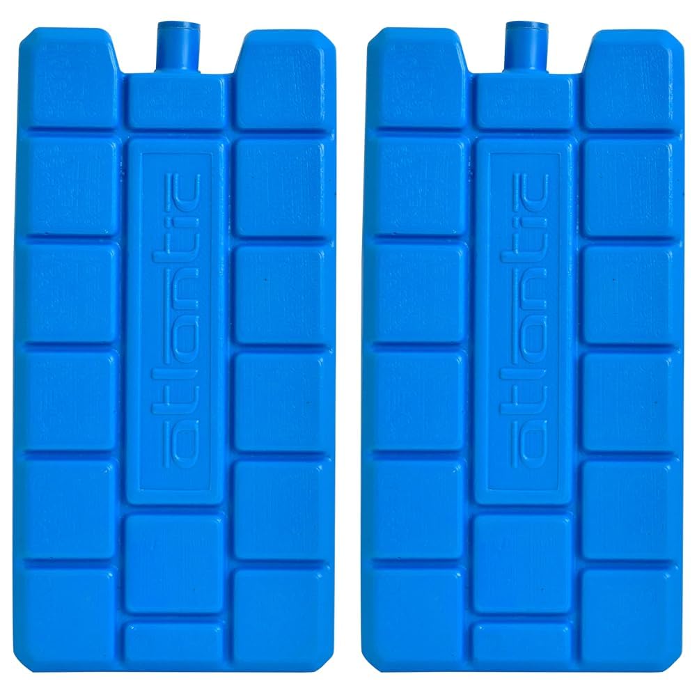 Large 400 Grams Ice Block Feezer Blocks (Pack of 2)
