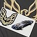 Popfunk Pontiac Firebird GM Logo General Motors T-Shirt & Stickers (Charcoal, XL)