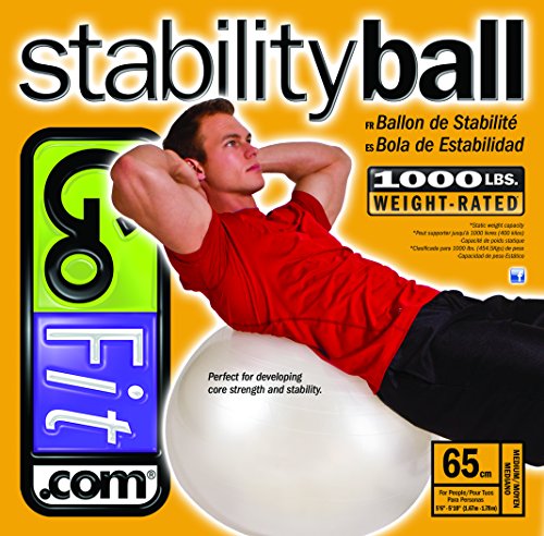 GoFit 65 cm 1000 lb Capacity Exercise Ball w/Pump & Poster