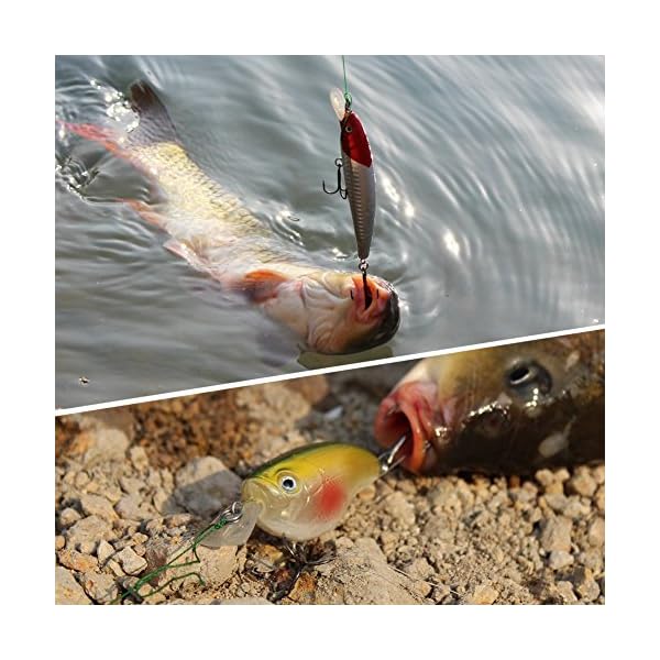 Sougayilang-8-Pieces-Dive-Artificial-Minnow-Bait-Plastic-Hard-Fishing-Lures Sougayilang-8-Pieces-Dive-Artificial-Minnow-Bait-Plastic-Hard-Fishing-Lures