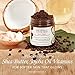Body Essentials Arabica Coffee & Coconut Milk Scrub - 100% Natural Ingredients - Cellulite and Wrinkle Reduction – Stretch Marks – Spider Veins – Essential Oils - Shea Butter – Vitamin E