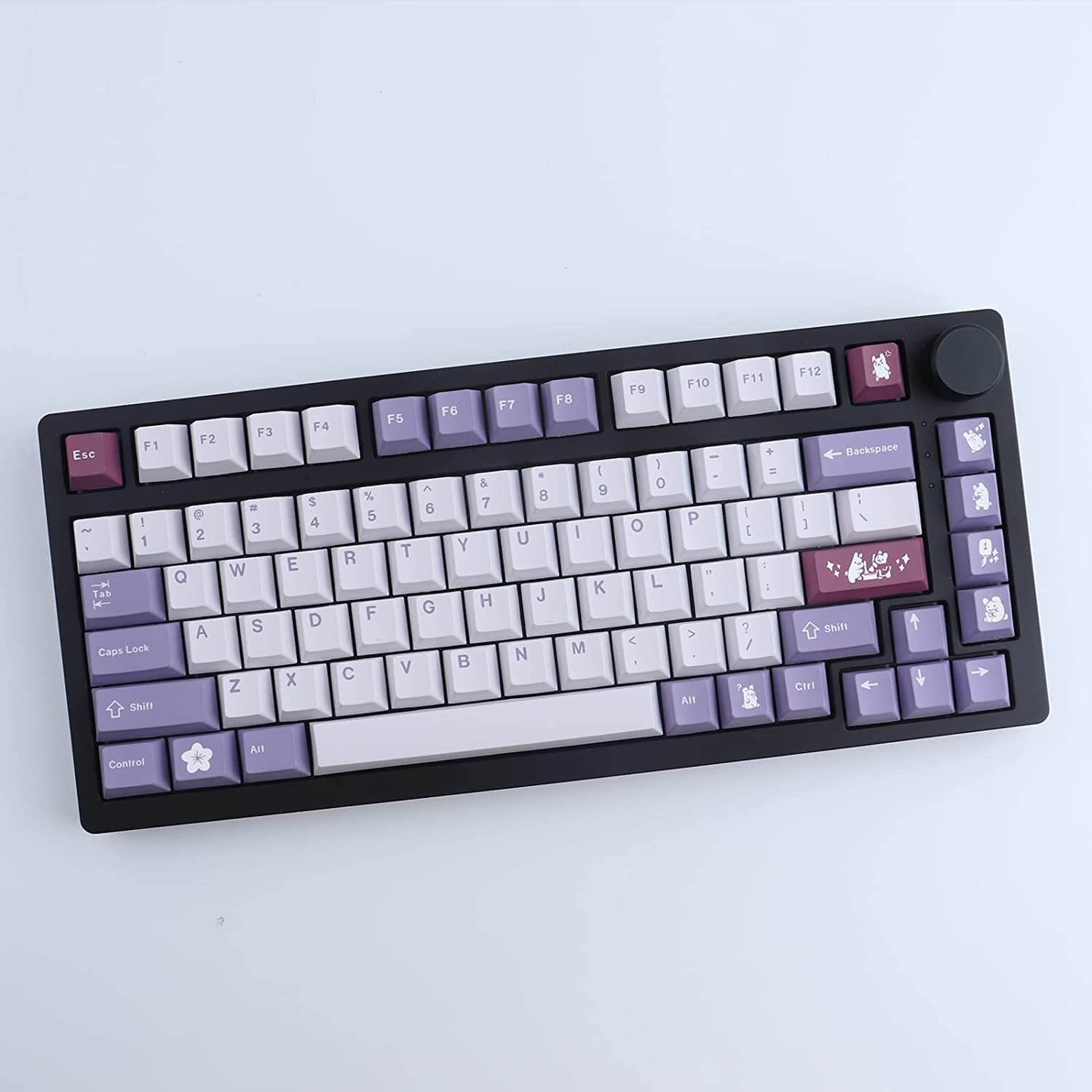 Mua JOMKIZ PBT Keycaps, Cherry Profile Keycaps 134 Keys Rabbit Dye ...