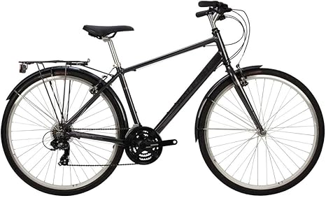 raleigh pioneer commuter