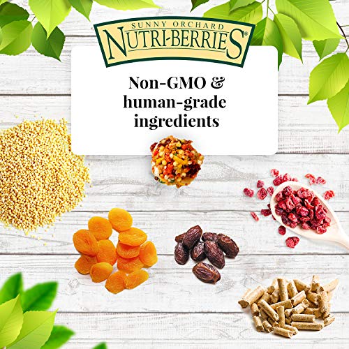 Lafeber's Nutri-Berries Bird Food 10 oz - Image 4