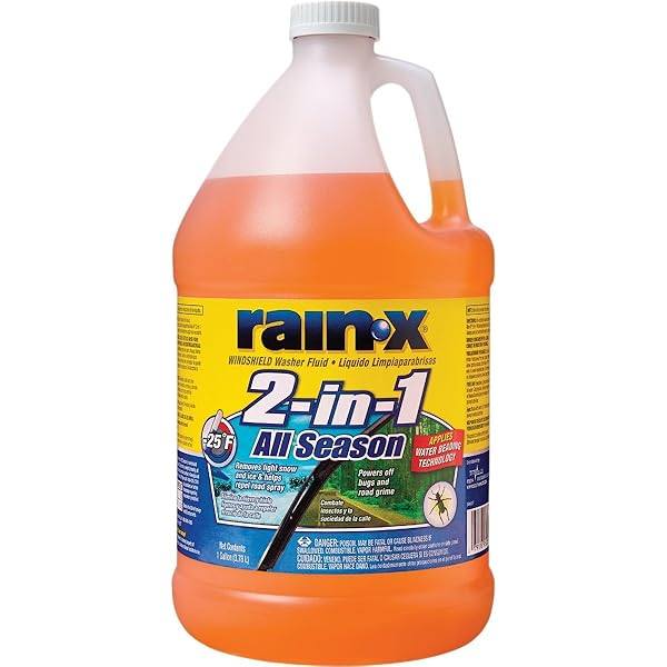 Amazon.com: Rain-X All Season 0°F 2-in-1 De-Icer & Bug Remover