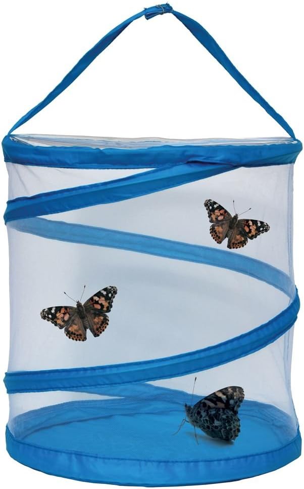 Living Wonders Butterfly Experience Kit with 10 Live Caterpillars