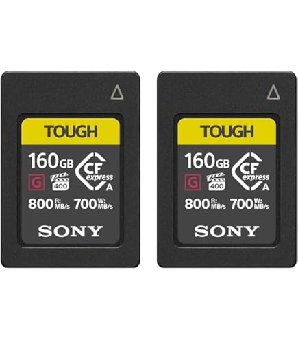 Amazon.com: Sony CFexpress Type A 80GB Memory Card (2-Pack) Bundle