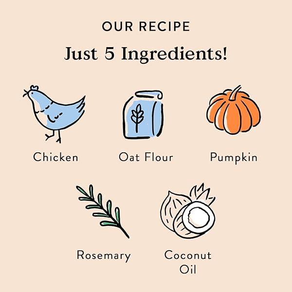 BOCCE’S BAKERY OVEN BAKED CHICKEN RECIPE TREATS FOR DOGS, WHEAT-FREE DOG TREATS, MADE WITH REAL INGREDIENTS, BAKED IN THE USA, ALL-NATURAL CHICKEN, PUMPKIN & ROSEMARY BISCUITS, 14 OZ