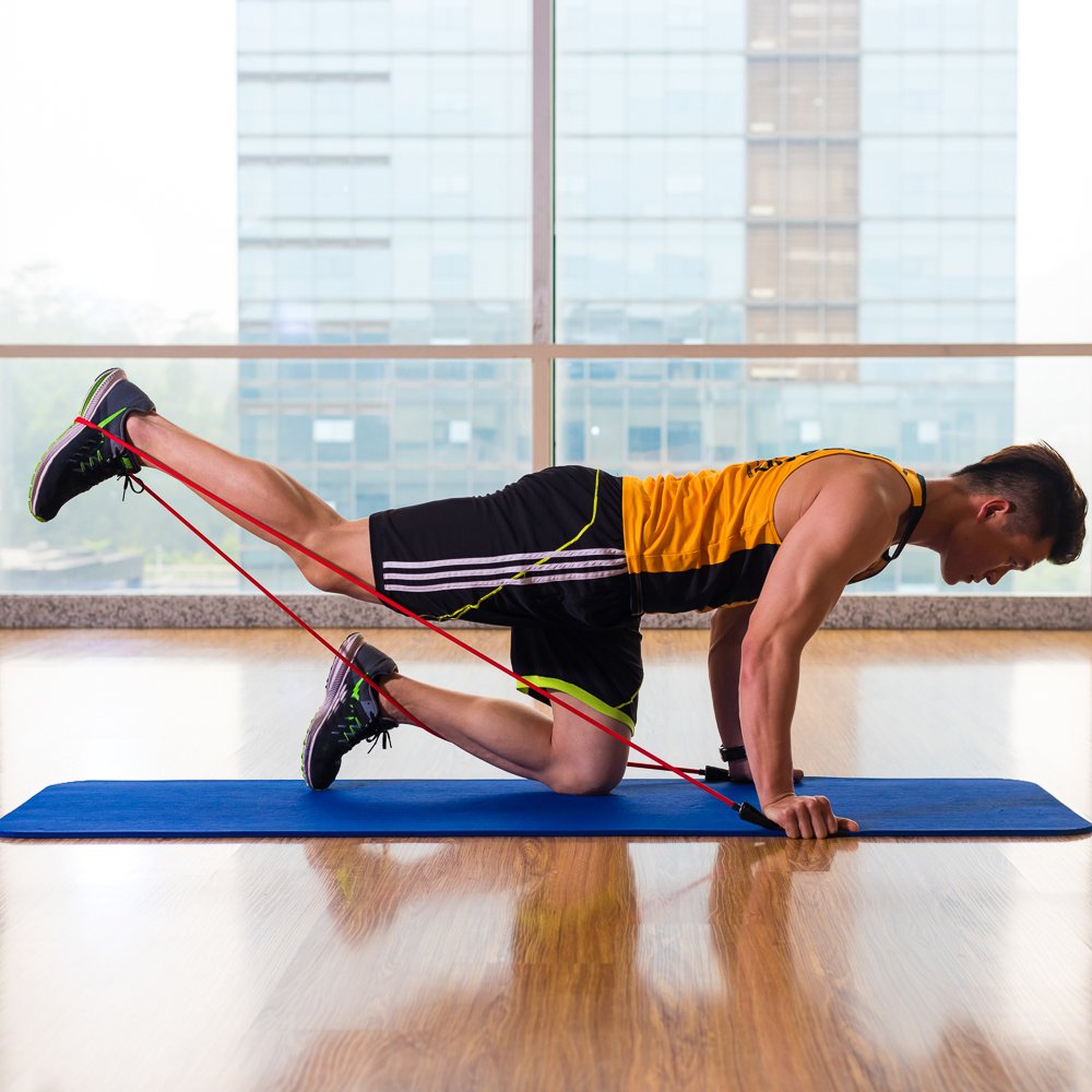 Odoland 16 pcs Resistance Bands Set Workout Bands and Rehab Bands