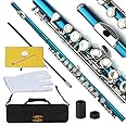 Glory Closed Hole C Flute With Case, Tuning Rod and Cloth, Gloves,Sea Blue