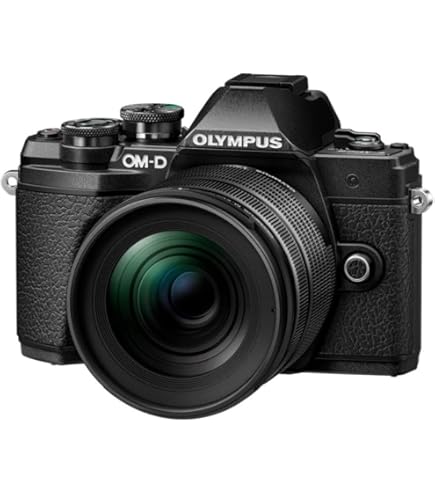 Amazon.com : OM SYSTEM Olympus OM-D E-M10 Mark IIIs Black Body