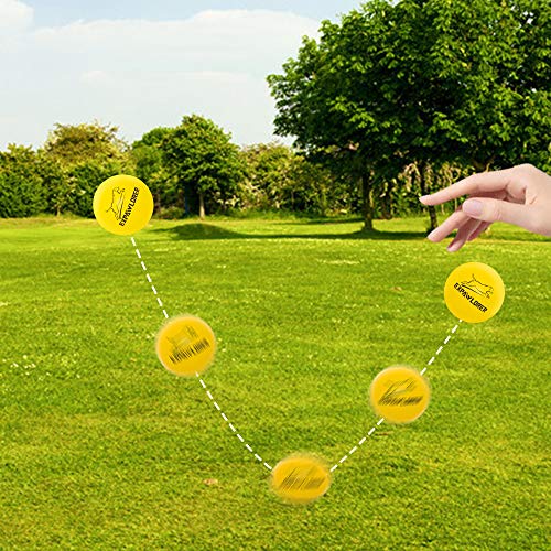 EXPAWLORER 12 Pack Floatable Dog Rubber Bouncy Balls Floating Fetch Toy