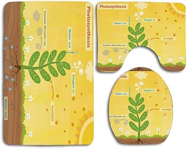 Alfombras de baño Conjunto Educativo Dibujos animados Fotosíntesis