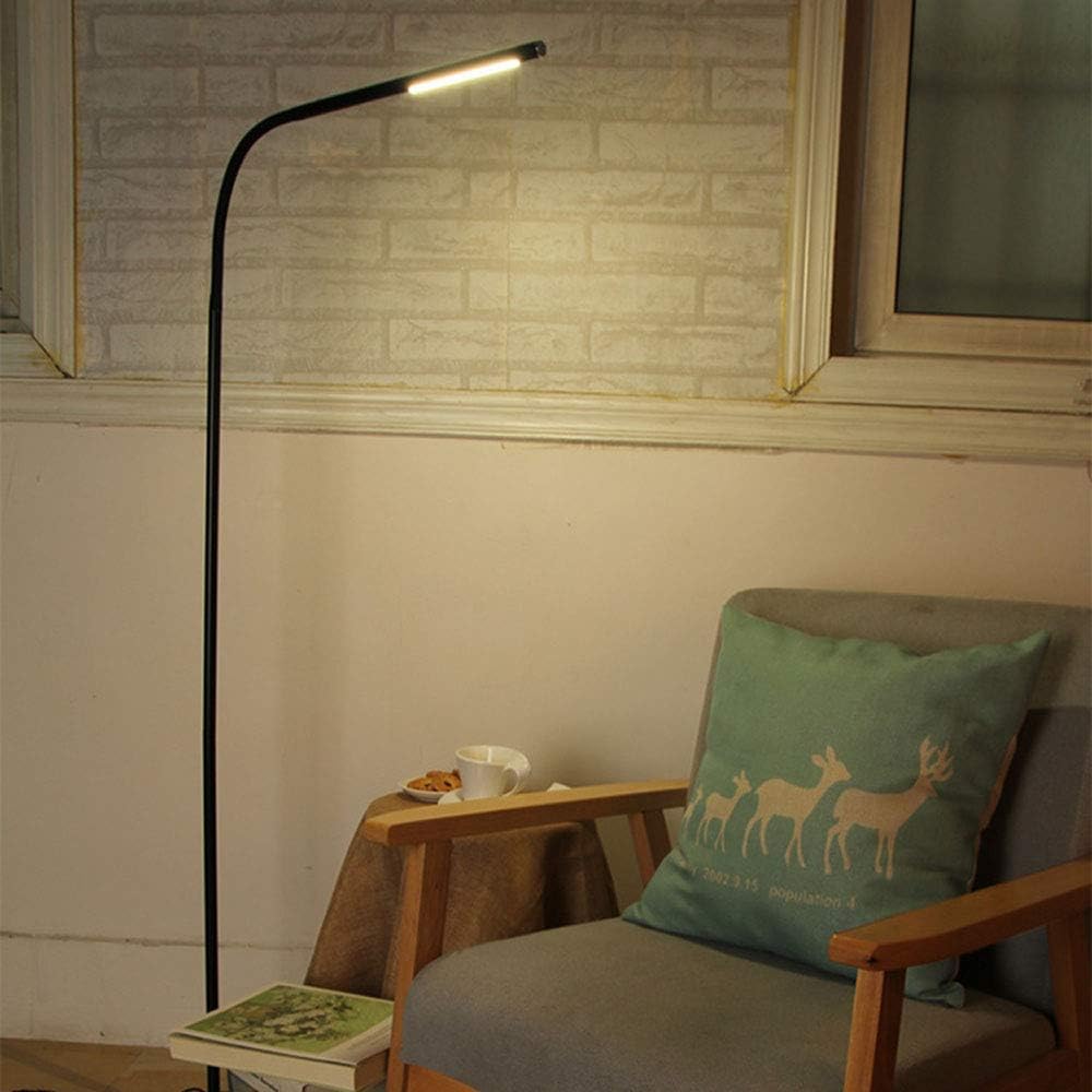 Beautiful 美丽的 LED Floor Lamp, Floor Lights Living Room Modern Dimmable