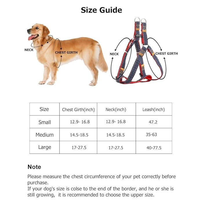 Best Dog Harnesses 2023 Top 10 Dog Harnesses Reviews