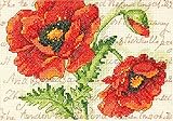DIMENSIONS Poppy Pair Counted Cross Stitch Kit, Floral Cross Stitch, 5
