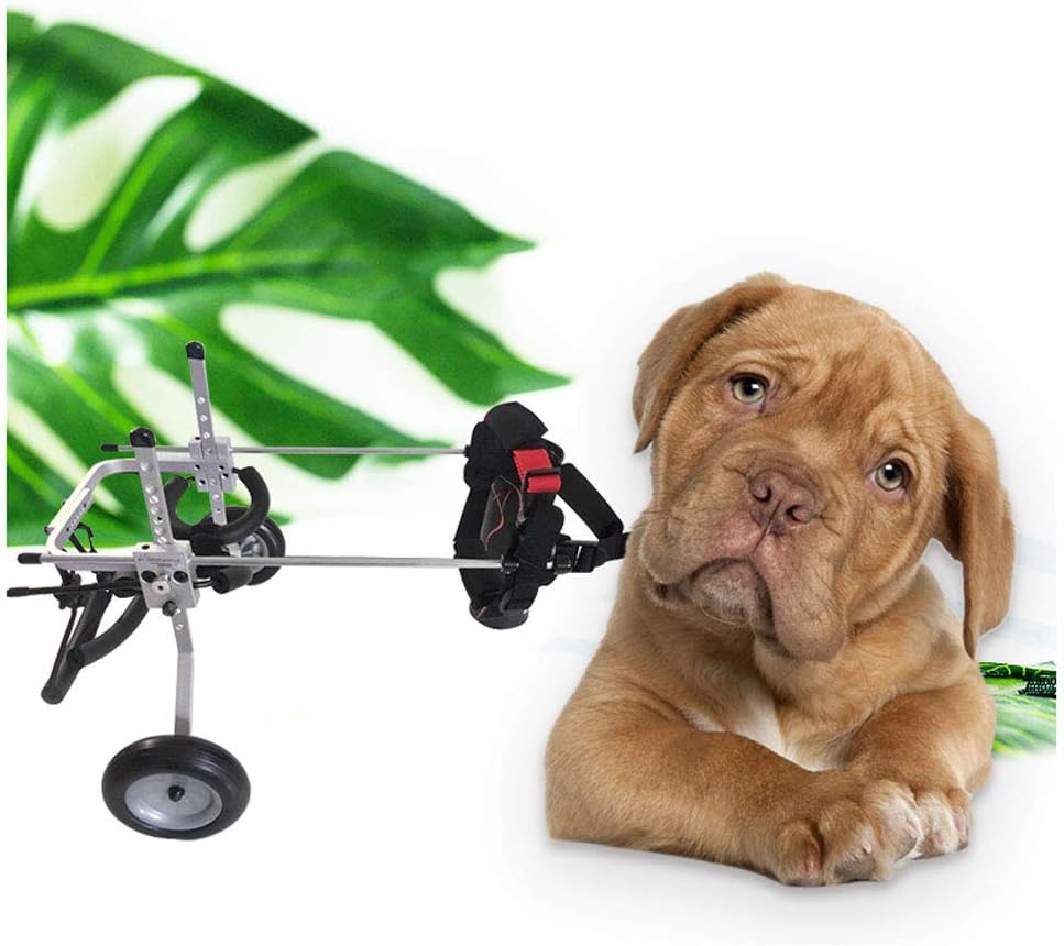 QARYYQ Dog Wheelchair 1 Kg 2.2 Lbs - 25 Kg 55 Lbs Suitable for Large Small Dogs with Hind Legs, Pets, Assisted Walking, Various Sizes Pet car seat