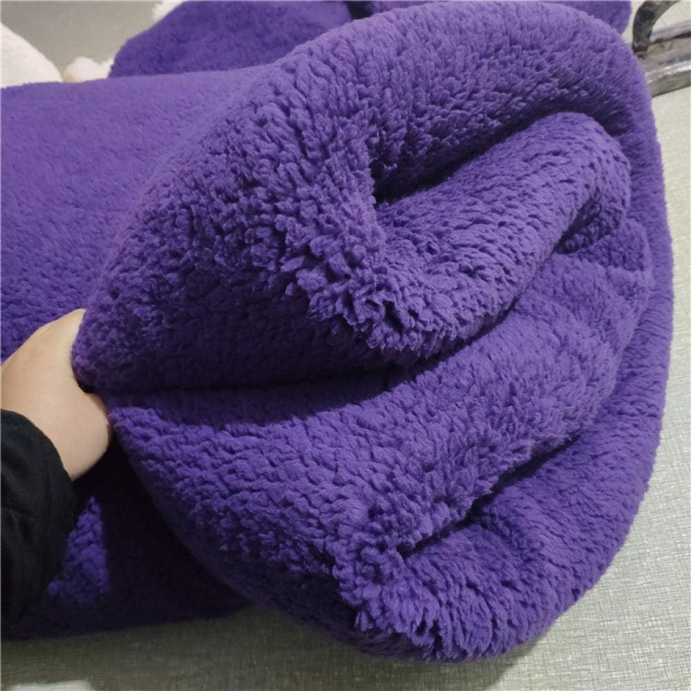 Boweike Blanket Double/Twin Size Fleece Bed Blankets Warm Fluffy