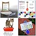 PetConfirm - General Wellness Tests and Non-Absorbent Cat Litter Combo For Cats - Test For Urinary Tract Infections (UTI), Kidney Failure and Diabetes Tests with Urine Sample Collecting Litter