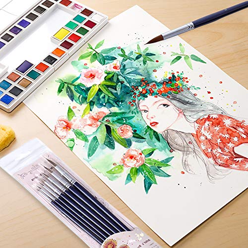 Artist Round Watercolor Detail Paint Brushes Natural Hair 7pcs for Watercolors, Acrylics, Inks, Gouache, Oil and Tempera