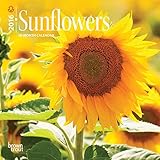 Sunflowers - 2016 Mini Wall Calendar 7 x 7in