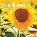 Sunflowers - 2016 Mini Wall Calendar 7 x 7in