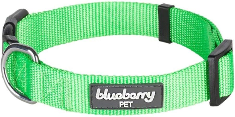 neon green dog collar