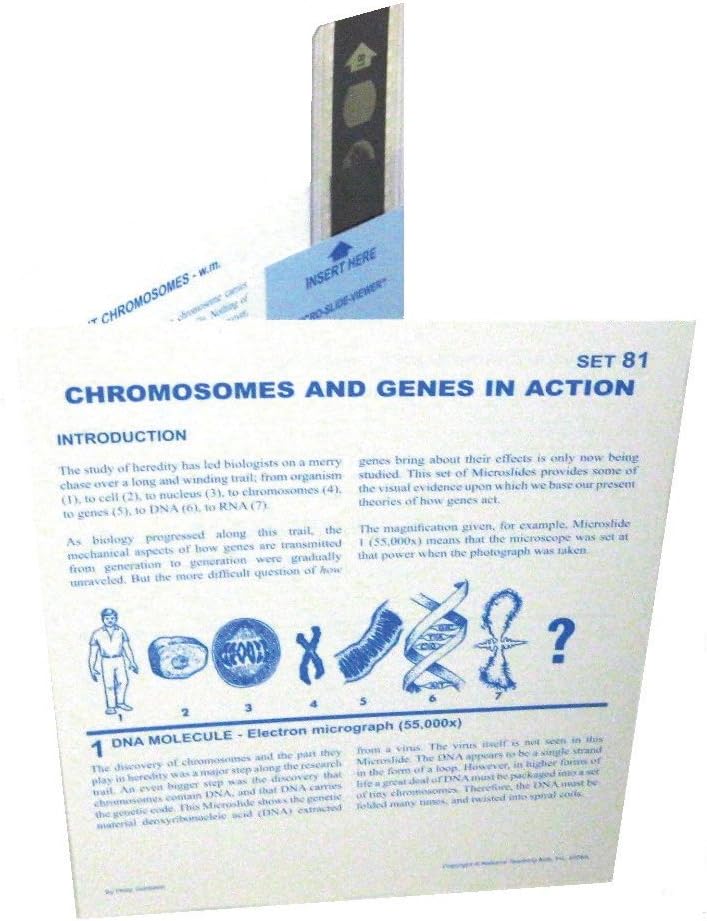 NTA Chromosomes and Genes in Action Photomicrograph Microscope Slide