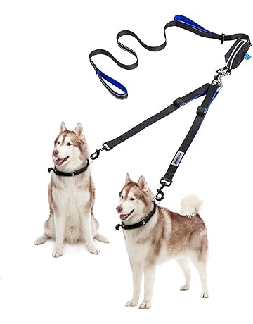 double leash harness