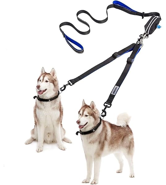 centipede remote control toy