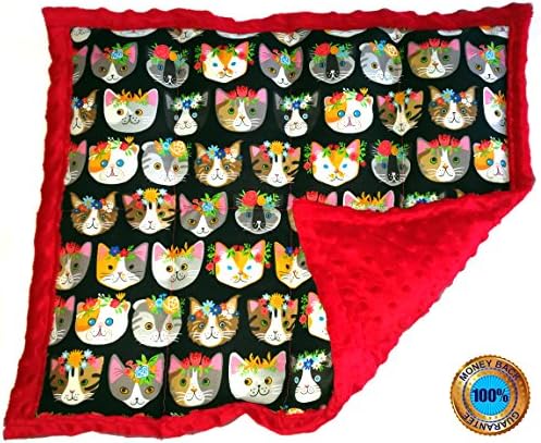 Weighted Sensory Lap Pads - from 3 to 12 lbs &amp; More than 10 Designs (5 lbs, Meow Mix)