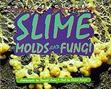 Nature Close-Up - Slime, Mold and Fungi