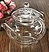 KINGSO Heat Resistant Elegant Glass Teapot with Glass Filter 250ml / 8oz