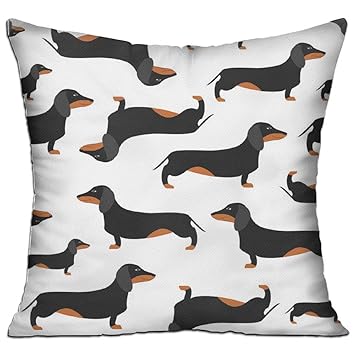Amazon Com Bbygjp Pillow Cover Sofa Back Throw Cushion Cover For