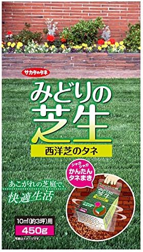 サカタのタネ みどりの芝生 シェイカーバッグ 13 Vaniroptik Com Tr