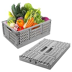2-Pack Plastic Baskets for Shelf