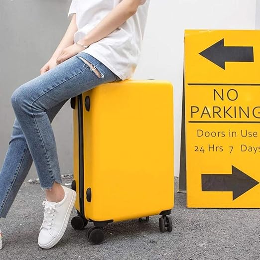 handle extension for rolling luggage