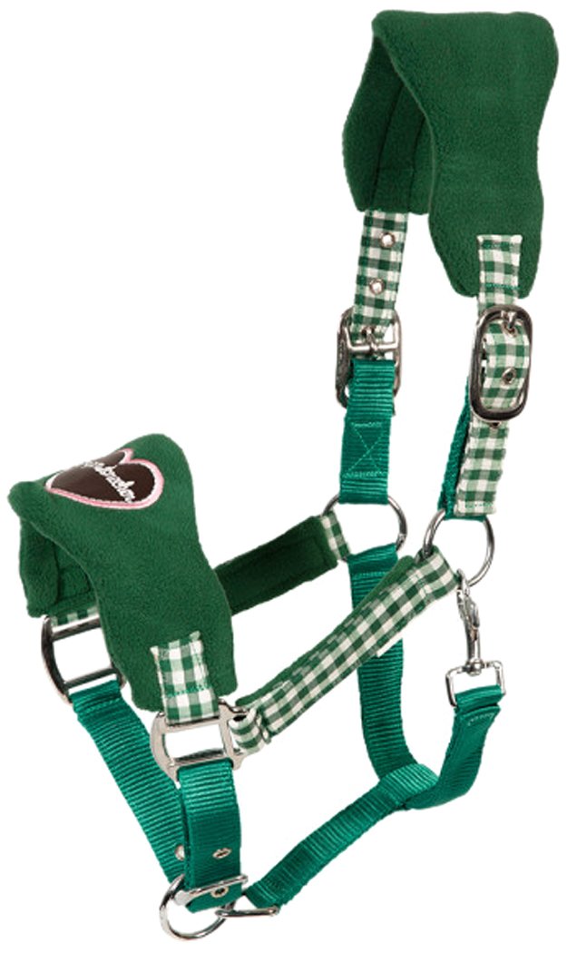 PFIFF Wiesn 102433-205-Pony Plastic Headcollar Small Green/Pink