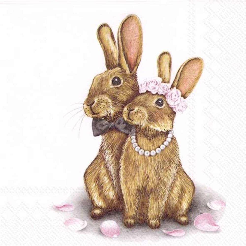 Celebrate The Home Spring 3-Ply Paper Cocktail Napkins, Mr. & Mrs. Bunny, 20 Count