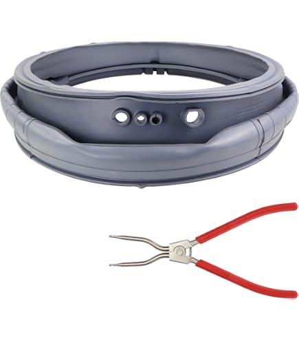 LG AGM73610701 Calamita per porta + supporto a molla