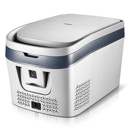 Amazon.es: LJJBOX Nevera Portatil Coche, Compresor de Coche ...