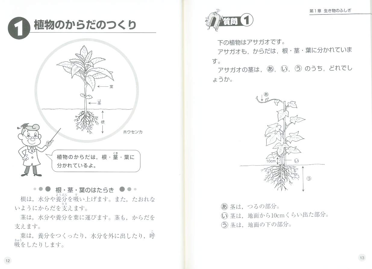 新 勉強のコツ シリーズ 小学校の 理科 を良問ベスト60で完全攻略 新牧 賢三郎 向山 洋一 本 通販 Amazon