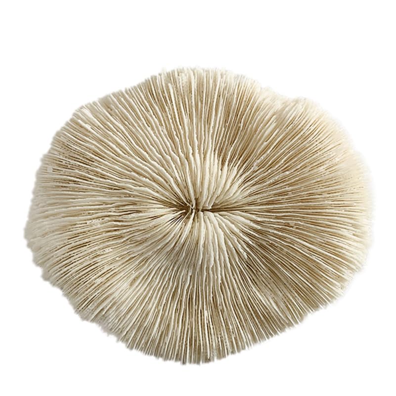 ULDIGI 1pc Mushroom Shaped Coral Adornment Elegant Coral Decor for Jewelry Storage Display Unique Home Decoration Ornament Chic Present Choice for Home Tabletop Holiday Decorations