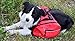 BINGPET Adjustable Dog Backpack for Hiking Camping Travel Pack Outdoor Accessory Saddlebag, Red M