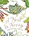 A Nest Is Noisy: (Nature Books for Kids, Children's Books Ages 3-5, Award Winning Children's Books) (Sylvia Long)