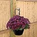 Gray Bunny 2 Pack Outdoor Plant Hanger Hook, 6” Victorian Heavy Duty Iron Wall Hooks for Bird Feeders, Lanterns, Wind Chimes, Patio Decor - Black