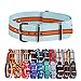 Clockwork Synergy® Classic Nylon Nato watch straps bands (20mm, Light Blue/Black/Orange)