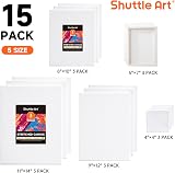 Shuttle Art Canvas 15 Multi Pack 4x4 5x7 8x10 9x12 11x14 Inches view 2