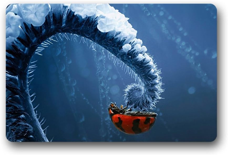 Forheart ladybug Doormat Rubber Non-Slip Personalized Doormat for Indoor and Outdoor (18"x 30")