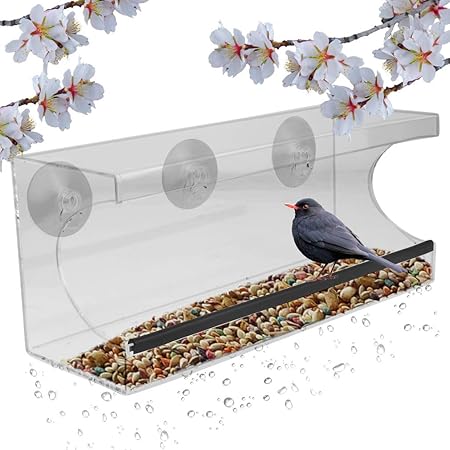 Amazon Com Evelots Window Bird Feeder See Thru 12 Inch 3 Strong